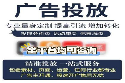 竞价广告的投放时机与频次选择——基于案例的探讨